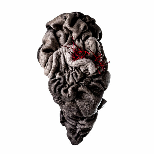 Viscus II